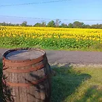 L'ecrin Des Favaud Gasthuis Lectoure