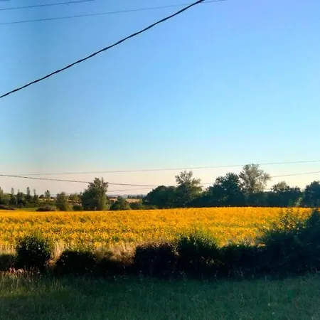 L'ecrin Des Favaud