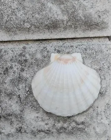 בית הארחה Domaine Des Favaud לקטור