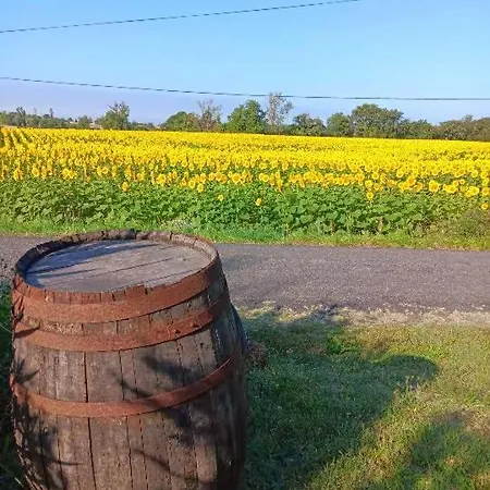L'ecrin Des Favaud Vendégház Lectoure