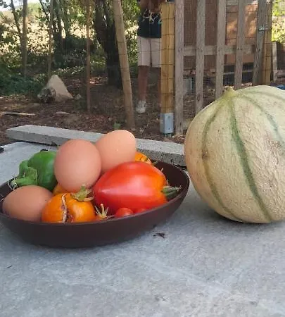 Domaine Des Favaud Gasthof Lectoure