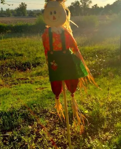 Maison d'hôtes Domaine Des Favaud