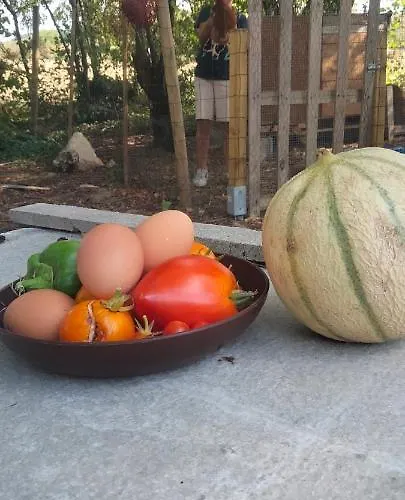 Domaine Des Favaud Maison d'hôtes Lectoure